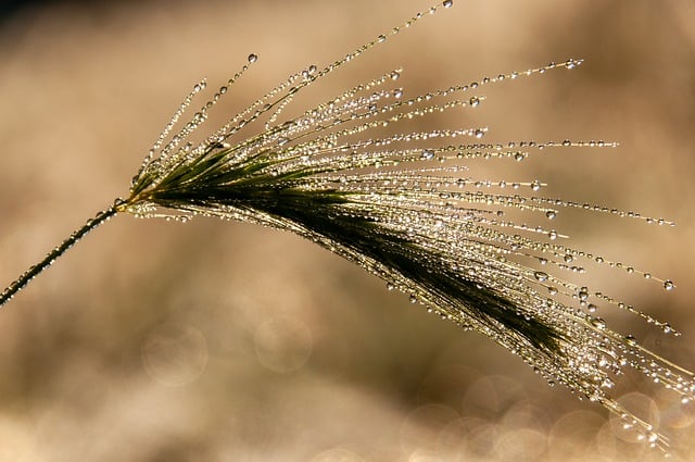 Sådan afslører du skjult fugt: 9 tydelige tegn i dine kældervægge