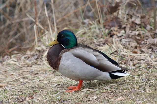 Undgå fælderne: Typiske fejl og hvordan du undgår dem i krydsord