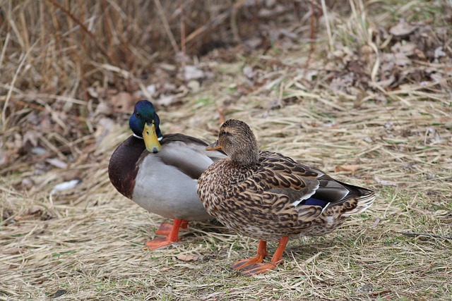 Krydsordsekspertens bedste tips til at komme i mål