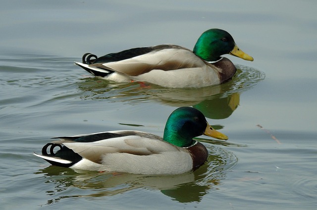 Knæk koden: 7 smarte strategier til succes i krydsord